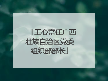 王心富任广西壮族自治区党委组织部部长