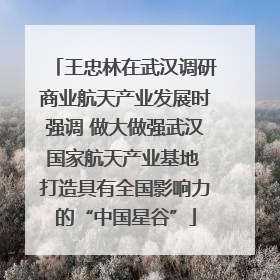 王忠林在武汉调研商业航天产业发展时强调 做大做强武汉国家航天产业基地 打造具有全国影响力的“中国星谷”