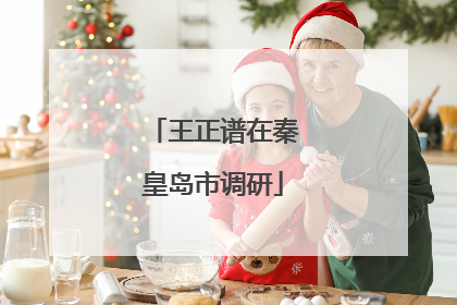 王正谱在秦皇岛市调研