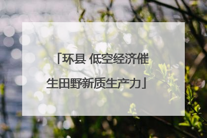 环县 低空经济催生田野新质生产力