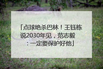 点球绝杀巴林！王钰栋说2030年见，范志毅：一定要保护好他