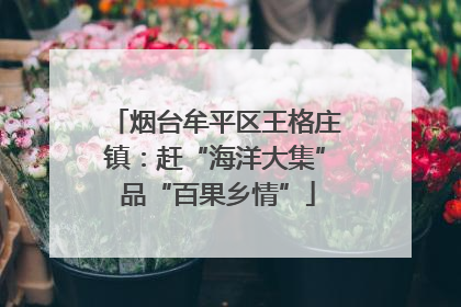 烟台牟平区王格庄镇：赶“海洋大集” 品“百果乡情”