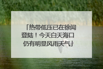 热带低压已在徐闻登陆！今天白天海口仍有明显风雨天气