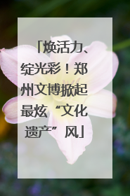 焕活力、绽光彩！郑州文博掀起最炫“文化遗产”风
