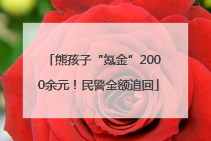 熊孩子“氪金”2000余元！民警全额追回