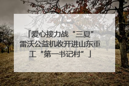 爱心接力战“三夏” 雷沃公益机收开进山东重工“第一书记村”