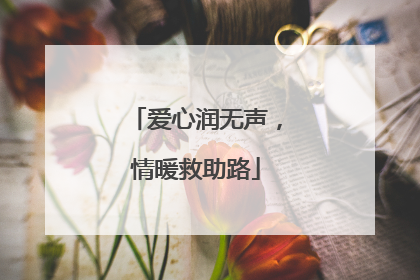爱心润无声，情暖救助路