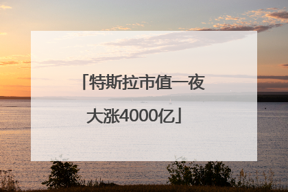 特斯拉市值一夜大涨4000亿