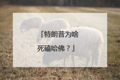 特朗普为啥死磕哈佛？