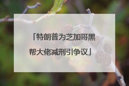 特朗普为芝加哥黑帮大佬减刑引争议