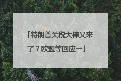 特朗普关税大棒又来了？欧盟等回应→