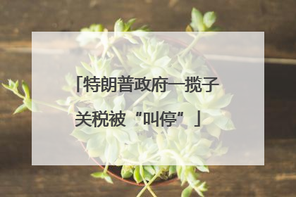 特朗普政府一揽子关税被“叫停”