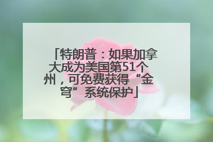 特朗普：如果加拿大成为美国第51个州，可免费获得“金穹”系统保护