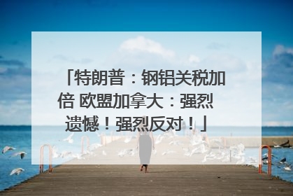特朗普：钢铝关税加倍 欧盟加拿大：强烈遗憾！强烈反对！