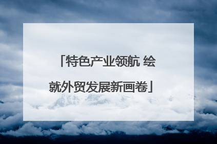 特色产业领航 绘就外贸发展新画卷