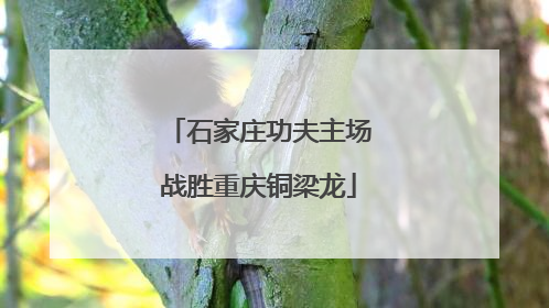 石家庄功夫主场战胜重庆铜梁龙