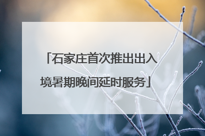 石家庄首次推出出入境暑期晚间延时服务