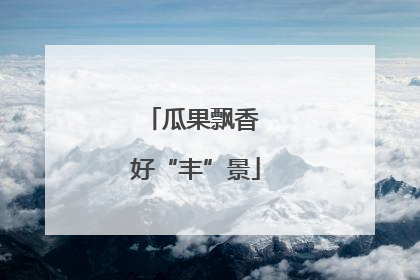 瓜果飘香 好“丰”景