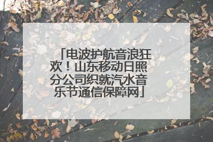 电波护航音浪狂欢！山东移动日照分公司织就汽水音乐节通信保障网
