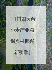 甘肃灵台小麦产业点燃乡村振兴新引擎