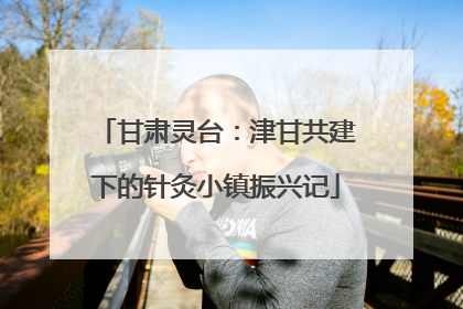 甘肃灵台：津甘共建下的针灸小镇振兴记