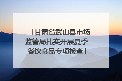 甘肃省武山县市场监管局扎实开展夏季餐饮食品专项检查
