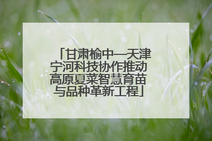 甘肃榆中—天津宁河科技协作推动高原夏菜智慧育苗与品种革新工程