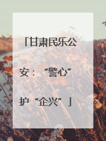 甘肃民乐公安：“警心”护“企兴”