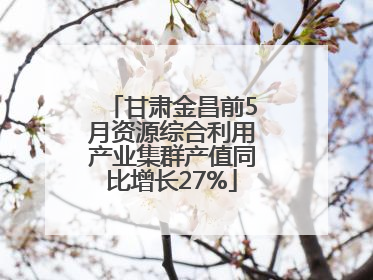甘肃金昌前5月资源综合利用产业集群产值同比增长27%