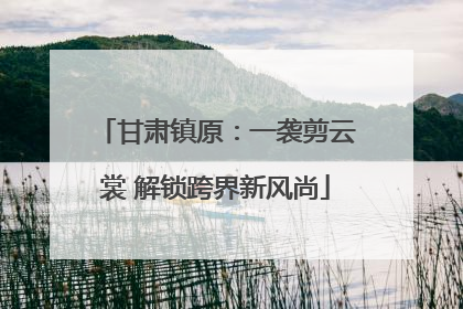 甘肃镇原：一袭剪云裳 解锁跨界新风尚