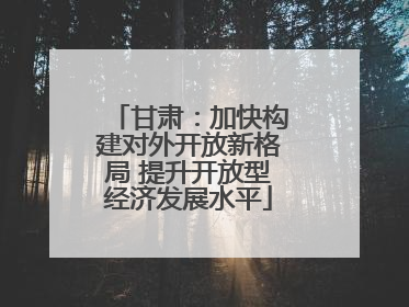 甘肃：加快构建对外开放新格局 提升开放型经济发展水平