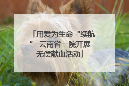 用爱为生命“续航” 云南省一院开展无偿献血活动