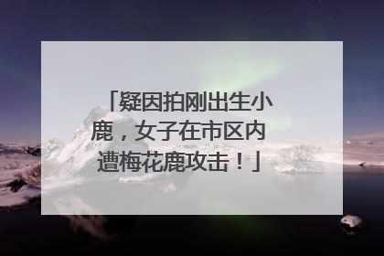 疑因拍刚出生小鹿，女子在市区内遭梅花鹿攻击！