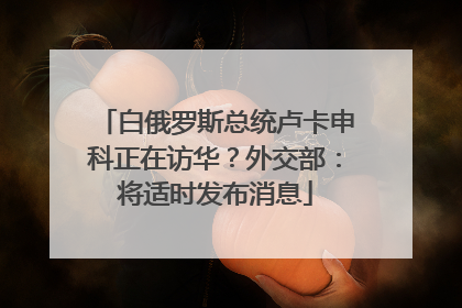 白俄罗斯总统卢卡申科正在访华？外交部：将适时发布消息