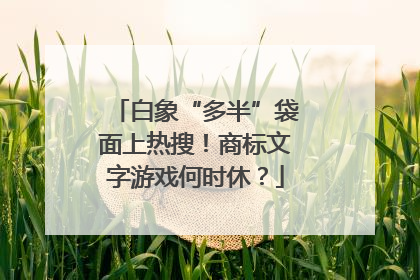 白象“多半”袋面上热搜！商标文字游戏何时休？