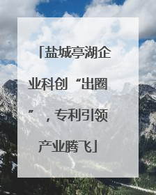 盐城亭湖企业科创“出圈”，专利引领产业腾飞
