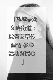 盐城亭湖文峰街道：粽香艾草传温情 多彩活动聚民心