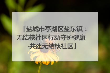 盐城市亭湖区盐东镇：无结核社区行动守护健康 ·共建无结核社区