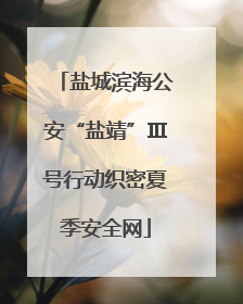 盐城滨海公安“盐靖”Ⅲ号行动织密夏季安全网