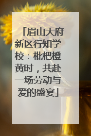 眉山天府新区行知学校：枇杷橙黄时，共赴一场劳动与爱的盛宴
