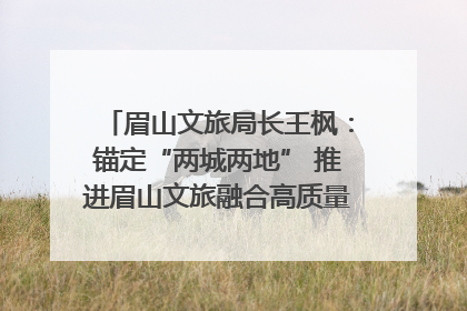 眉山文旅局长王枫：锚定“两城两地” 推进眉山文旅融合高质量发展｜文旅局长说