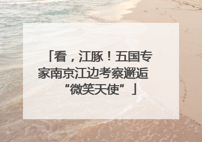 看，江豚！五国专家南京江边考察邂逅“微笑天使”