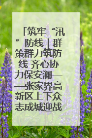 筑牢“汛”防线｜群策群力筑防线 齐心协力保安澜——张家界高新区上下众志成城迎战汛情