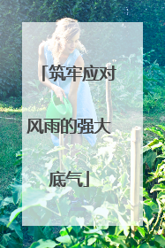 筑牢应对风雨的强大底气