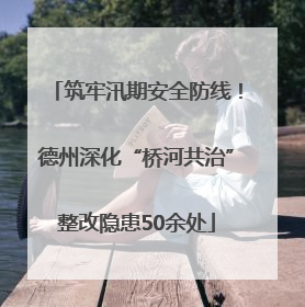 筑牢汛期安全防线！德州深化“桥河共治”整改隐患50余处