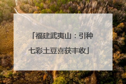 福建武夷山：引种七彩土豆喜获丰收