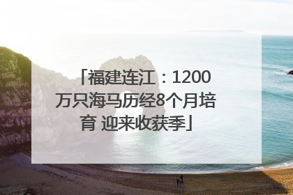 福建连江：1200万只海马历经8个月培育 迎来收获季