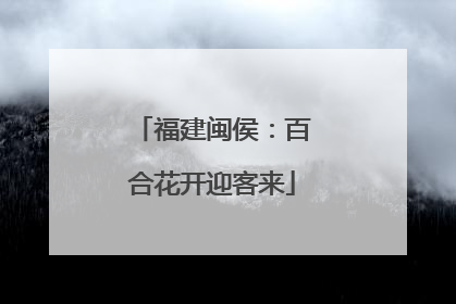 福建闽侯：百合花开迎客来
