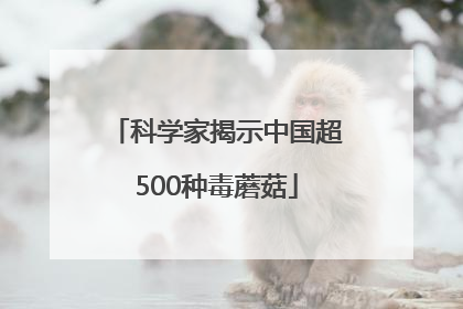 科学家揭示中国超500种毒蘑菇