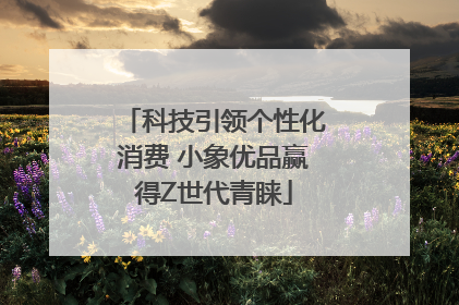科技引领个性化消费 小象优品赢得Z世代青睐